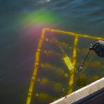 GVSU researchers investigate biological, chemical effects of microplastics